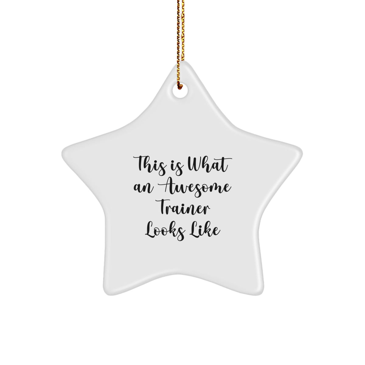 Funny Trainer Gifts - This Is What An Awesome Trainer Looks Like, Star Ornament for Men, Women, Friends, Coworkers, Family - Unique Christmas Unique Gift Ideas - Image 1
