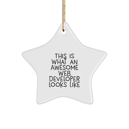 Developer Star Ornament Idea for Coworkers Holiday Christmas Gift - Image 1