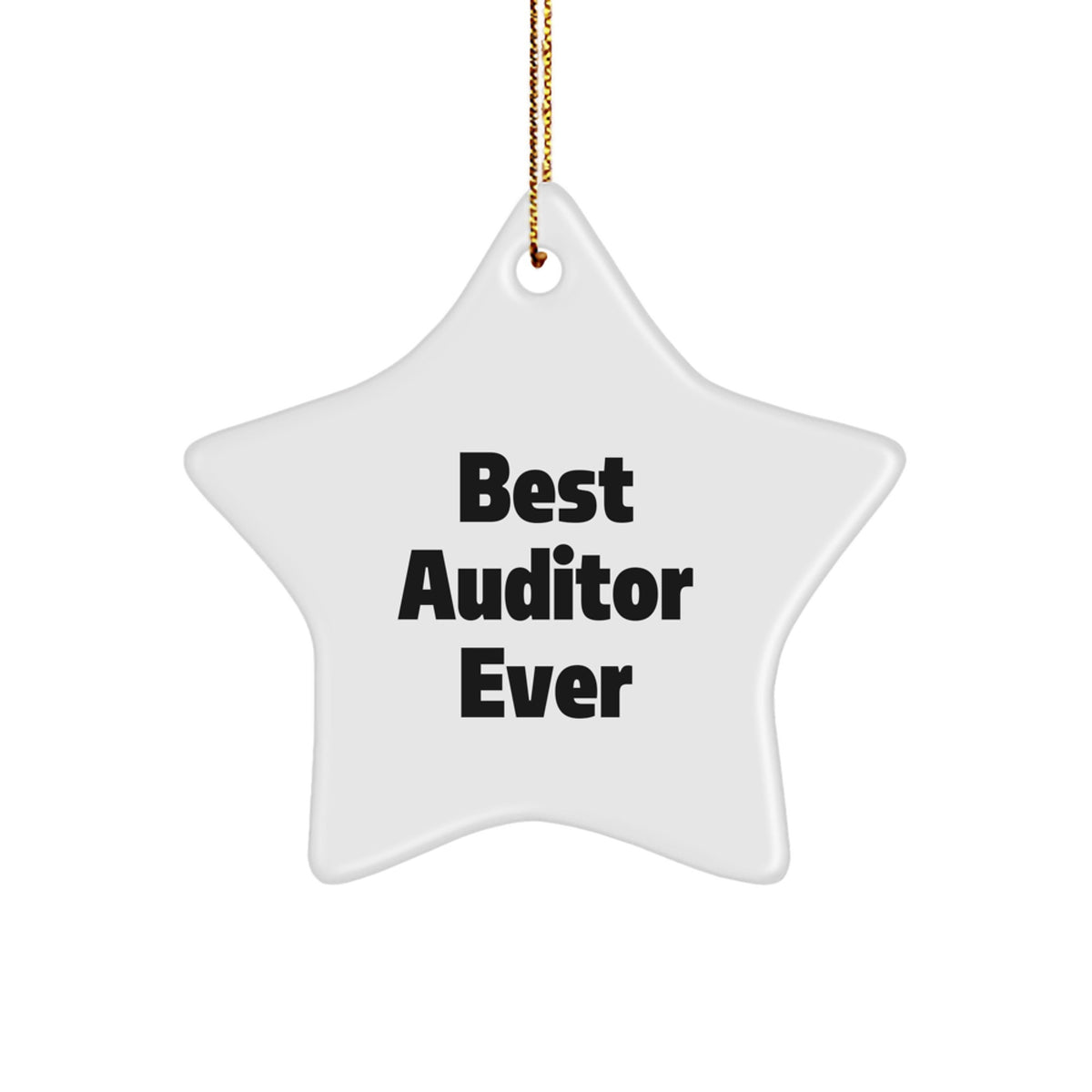 Christmas Ornament Gift Lighthearted 'Best Auditor Ever' Keepsake - Image 1