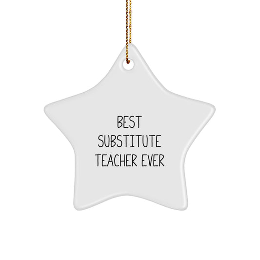 Funny Christmas Unique Gifts for Substitute Teachers - Best Substitute Teacher Star Ornament, Gifts from Family, Friends, Coworkers, Unique Christmas Unique Gifts - Image 1