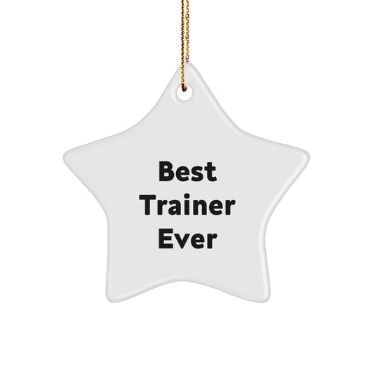 Funny Trainer Star Ornament Gifts from Family for Men - Best Trainer Ever Christmas Unique Presents - Image 1
