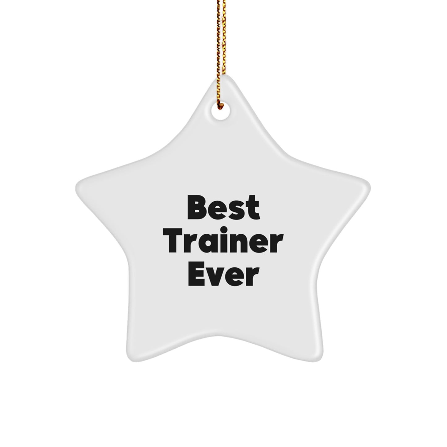 Funny Trainer Star Ornament Gifts from Friends, Family, or Coworkers to Trainees on Christmas - Image 1