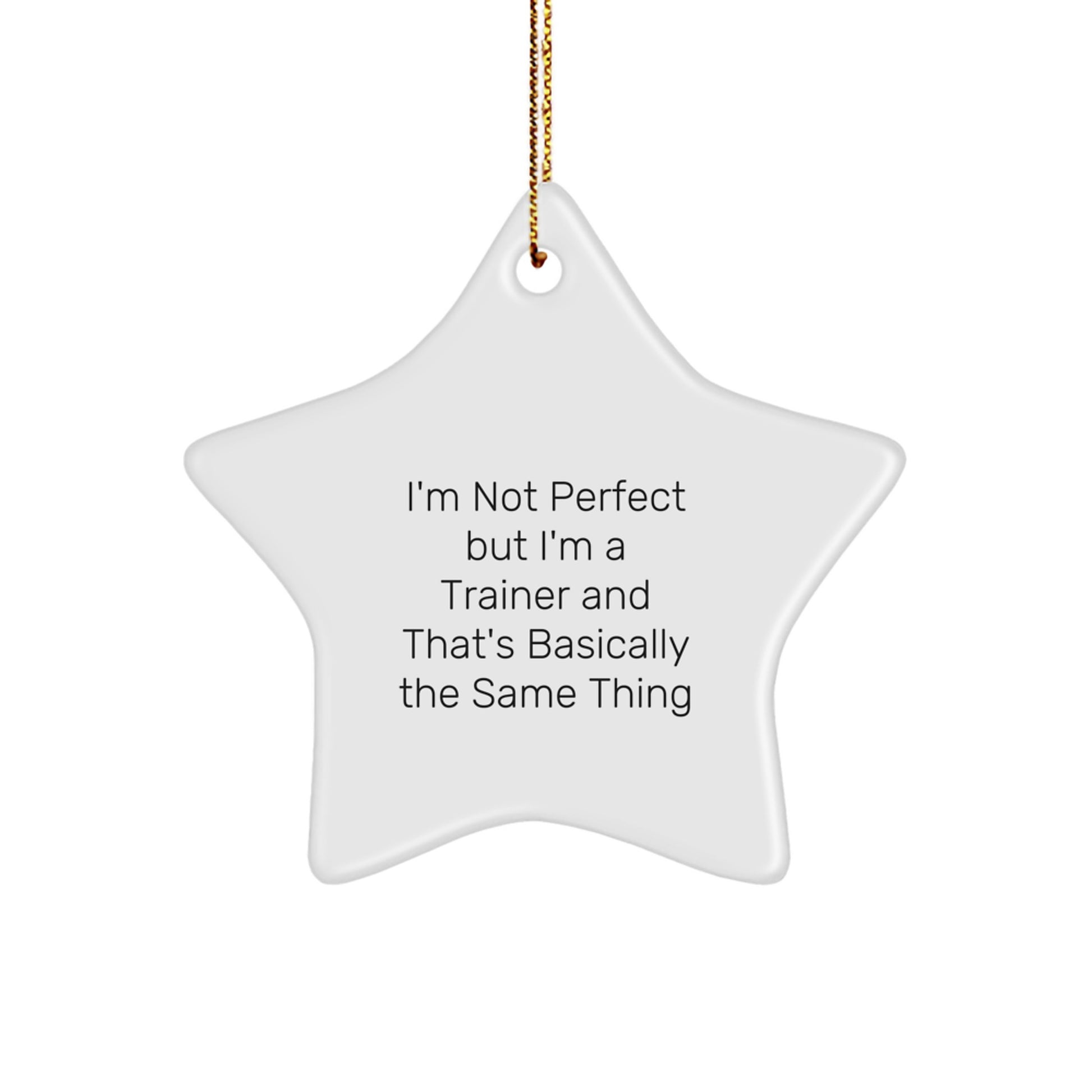 Trainer Star Ornament Idea Gift for Coworkers Christmas - Image 1