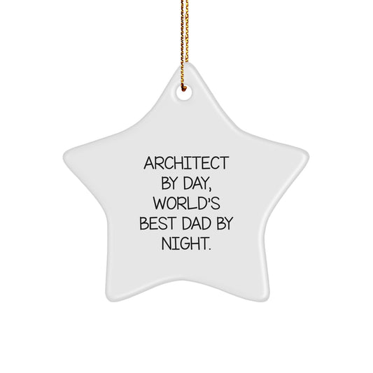 Funny Quote Star Ornament Gifts from Men to Architect Friends and Family at Christmas - Image 1