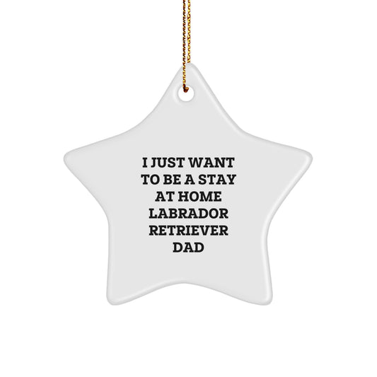 Funny Labrador Retriever Dad Star Ornament Gifts for Men, Unique Christmas Decorations from Family to Family - Image 1