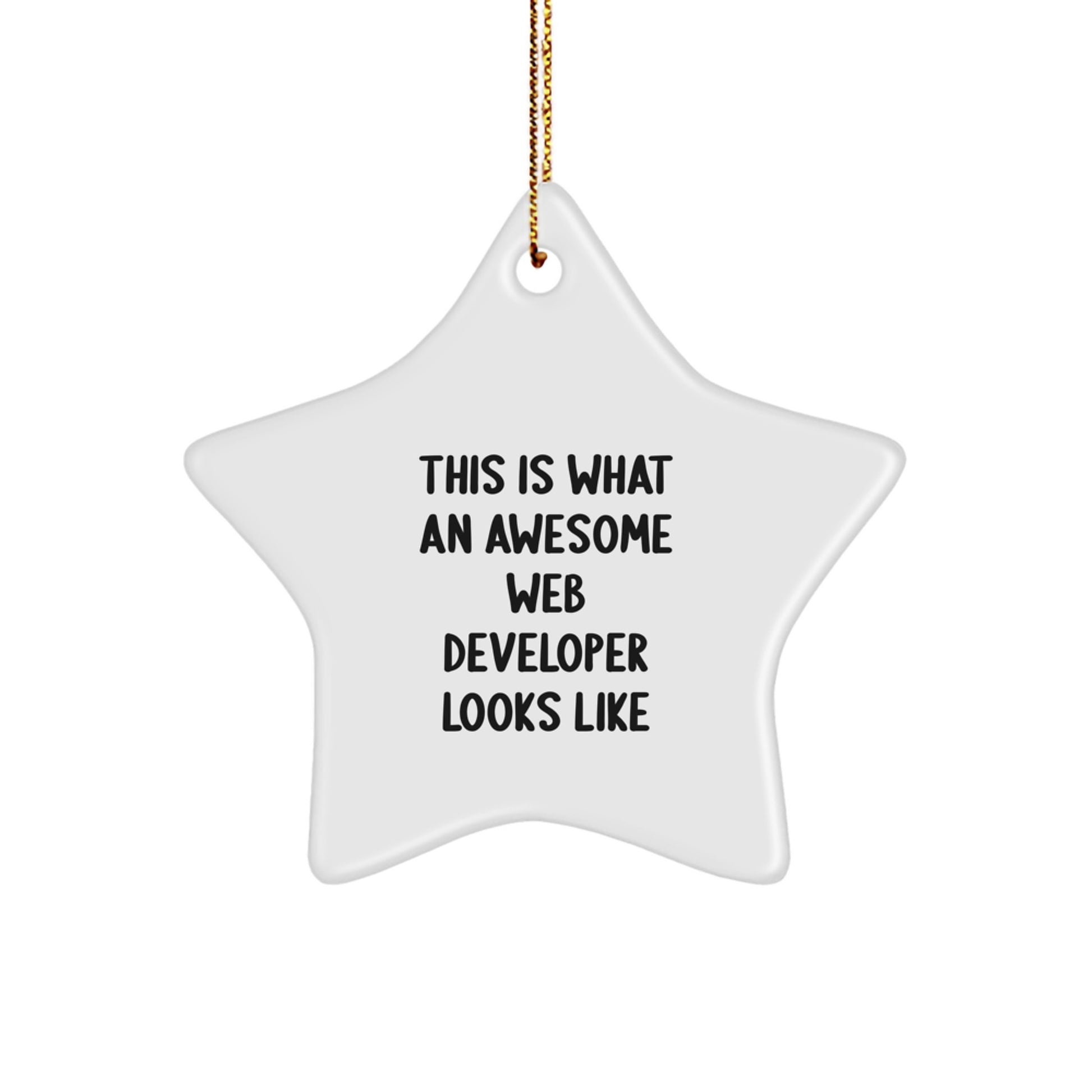 Funny Web Developer Gifts for Men, Funny Star Ornament with 'This Is What An Awesome Web Developer Looks Like' Quote, Gifts from Men to Web Developer Friends - Image 1