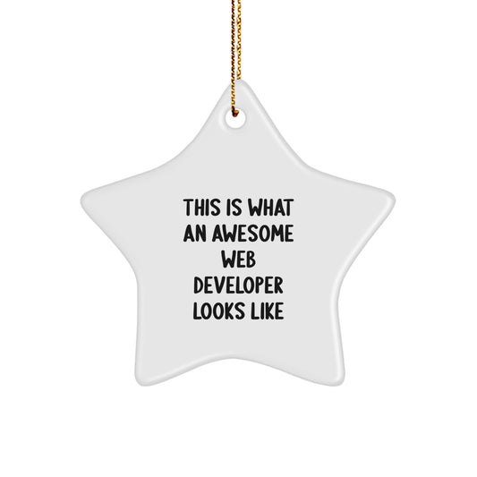 Funny Web Developer Gifts for Men, Funny Star Ornament with 'This Is What An Awesome Web Developer Looks Like' Quote, Gifts from Men to Web Developer Friends - Image 1