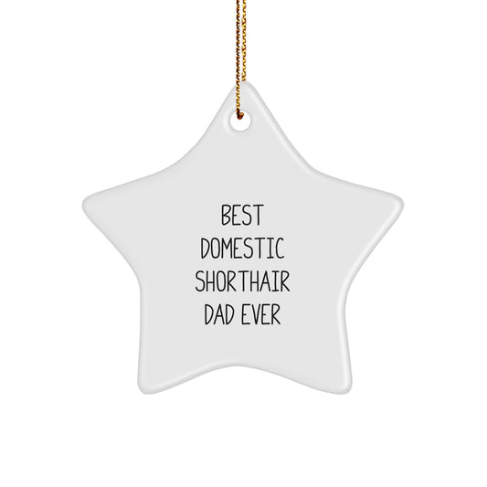Funny Domestic Shorthair Cat Dad Gifts from Family, Star Ornament for Domestic Shorthair Cat Lover, Best Domestic Shorthair Dad Ever Christmas Unique Gifts - Image 1