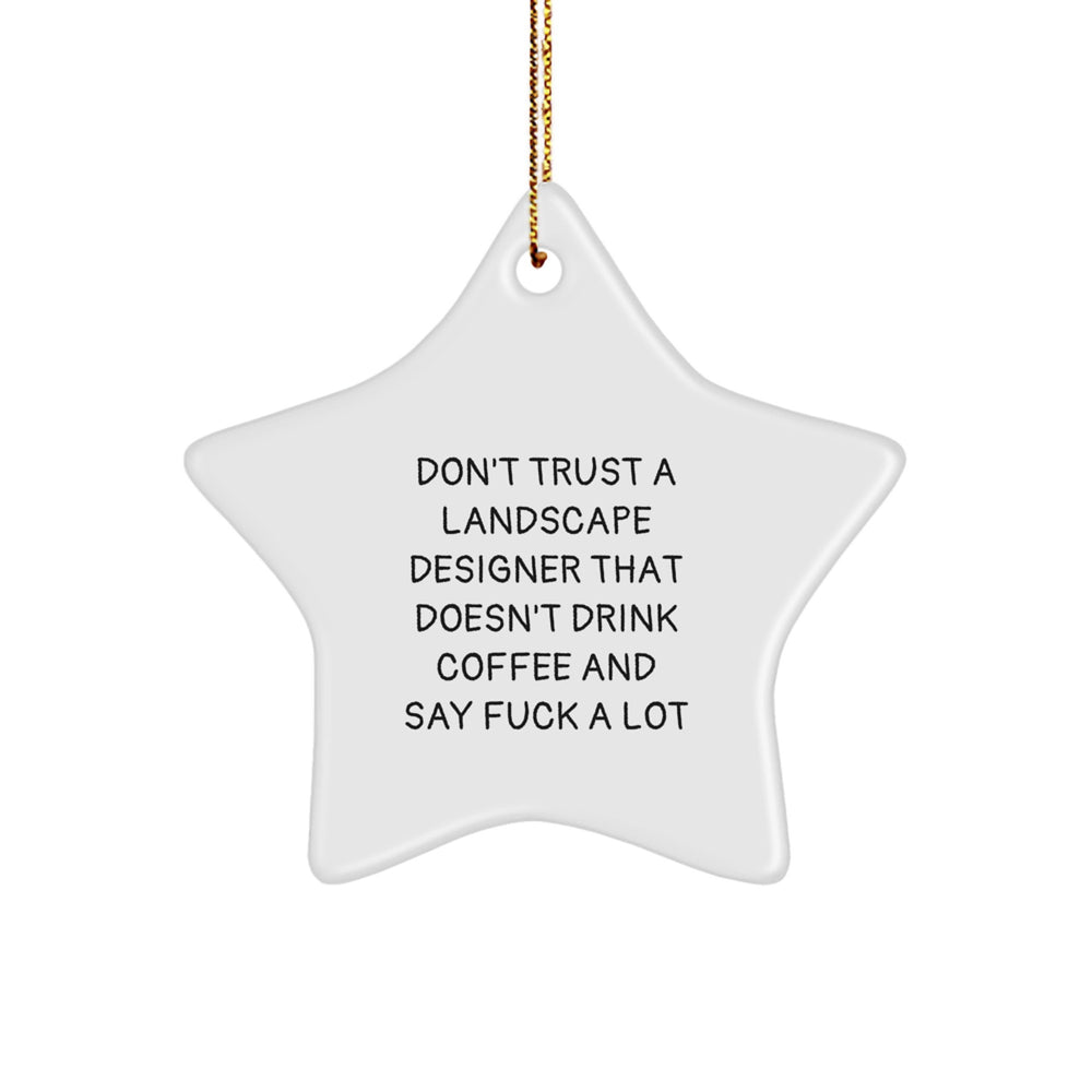 Funny Landscape Designer Gifts from Friends for Christmas - Star Ornament with 'Don't Trust...' Quote, Unique and Humorous Present for Men and Women - Image 1