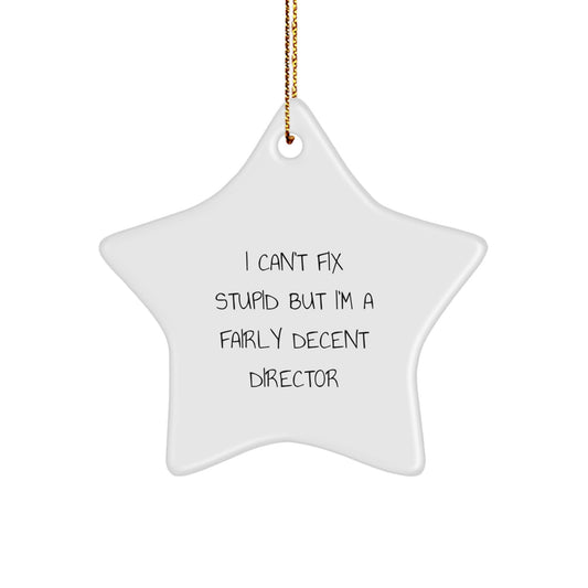 Funny Director Star Ornament, I Can't Fix Stupid But I'm A Fairly Decent Director, Gifts from Men, Gifts for Director, Christmas Unique Gifts - Image 1