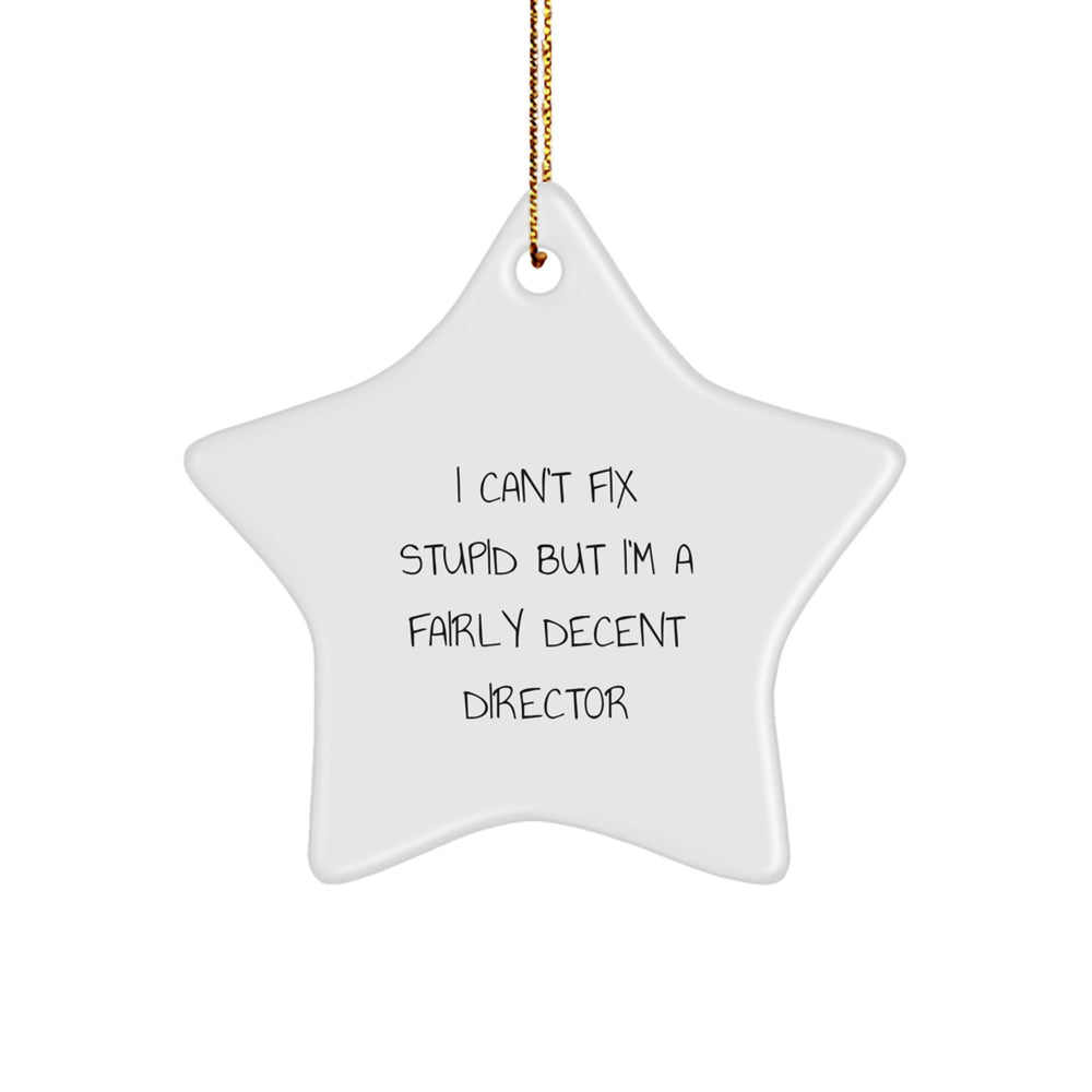 Funny Director Star Ornament, I Can't Fix Stupid But I'm A Fairly Decent Director, Gifts from Men, Gifts for Director, Christmas Unique Gifts - Image 1