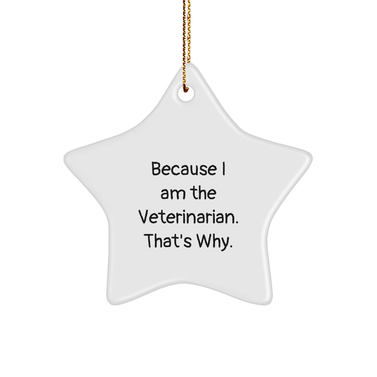 Funny Veterinarian Star Ornament Gifts from Family, Unique Christmas Unique Gifts for Veterinarian Friends, Because I Am The Veterinarian That's Why. - Image 1