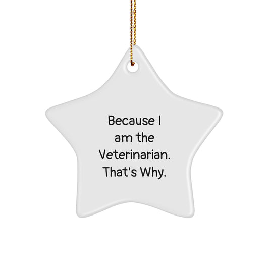 Funny Veterinarian Star Ornament Gifts from Family, Unique Christmas Unique Gifts for Veterinarian Friends, Because I Am The Veterinarian That's Why. - Image 1