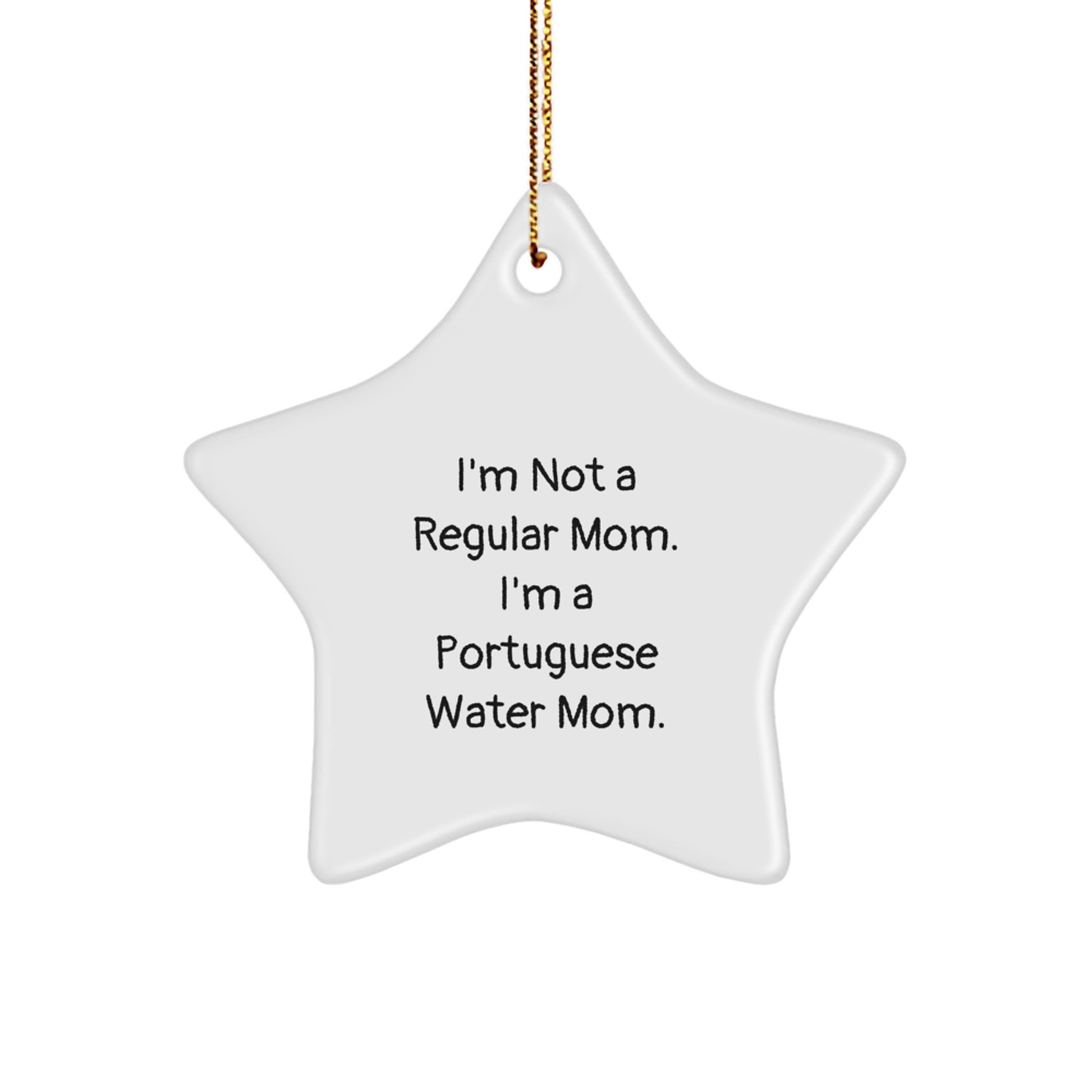 Funny Star Ornament for Portuguese Water Dog Lovers Gifts from Friends and Family for Christmas Unique Presents - Image 1