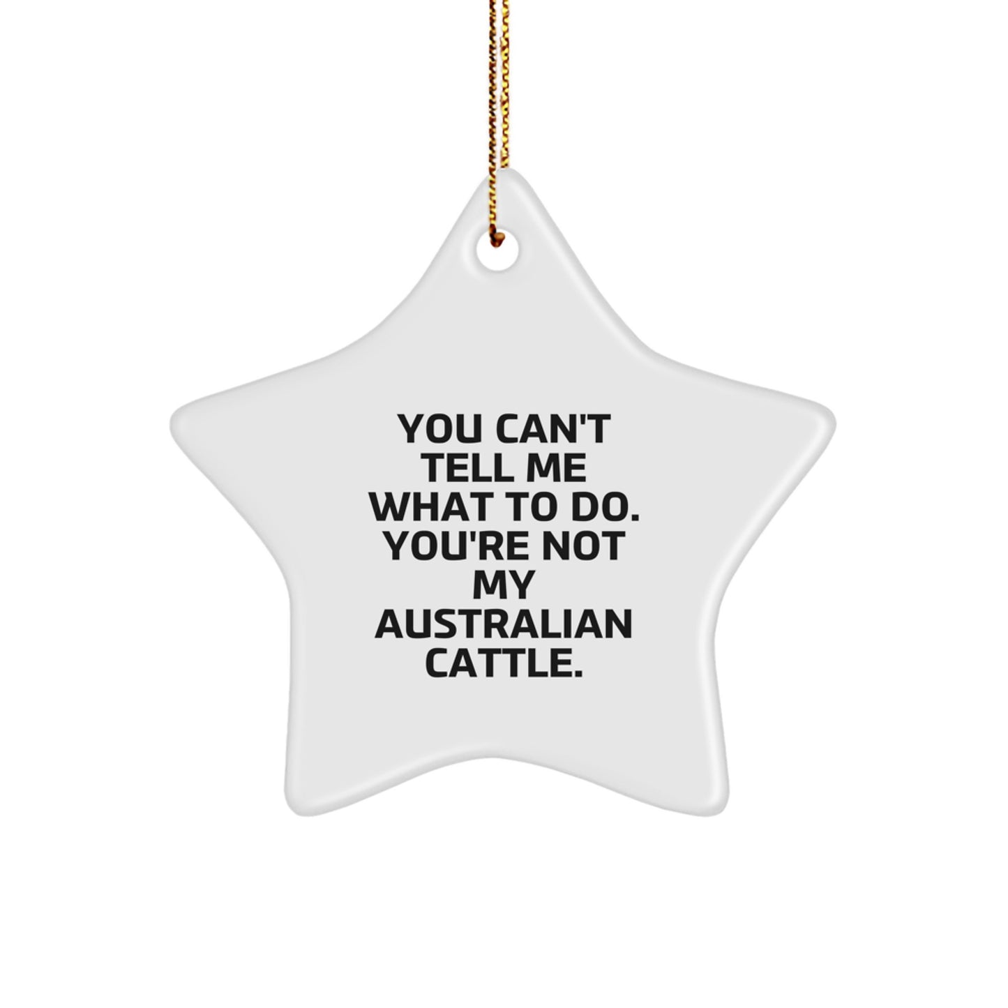 Australian Cattle Dog Star Ornament, Funny Quote Gifts from Friends for Australian Cattle Dog, Christmas Unique Gifts - Image 1
