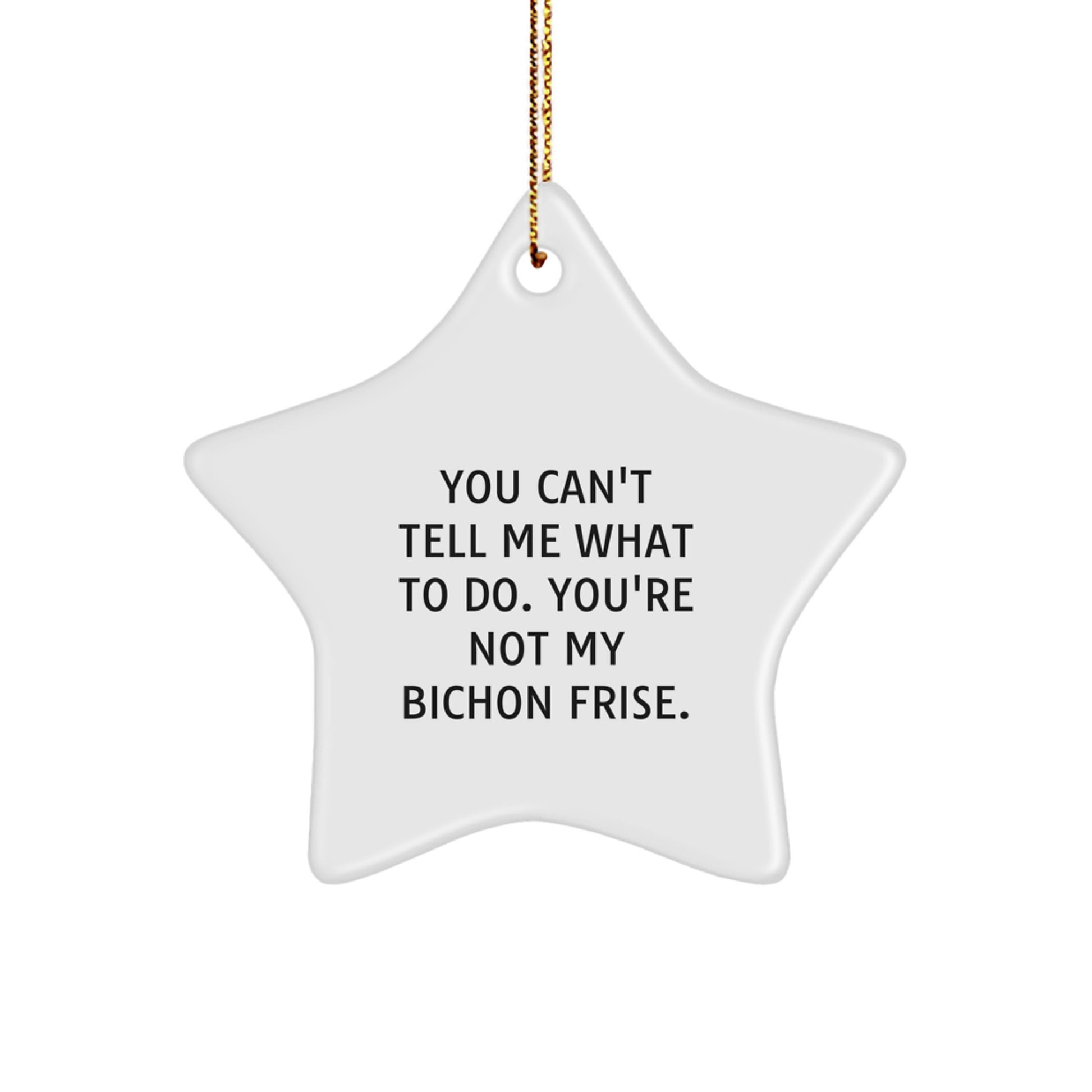 Bichon Frise Dog Star Ornament Funny Quote Gifts from Family for Christmas - Image 1