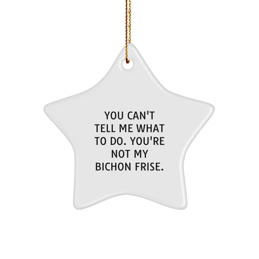 Bichon Frise Dog Star Ornament Funny Quote Gifts from Family for Christmas - Image 1