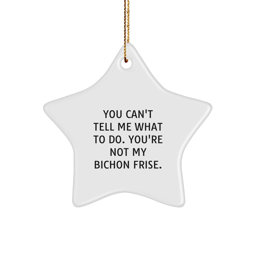 Bichon Frise Dog Star Ornament Funny Quote Gifts from Family for Christmas - Image 1