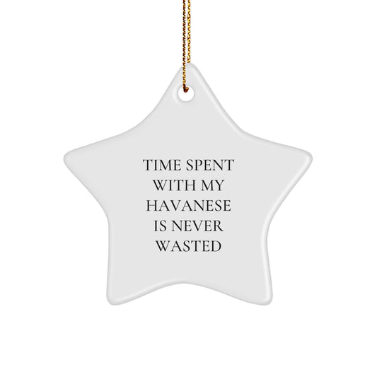 Havanese Dog Star Ornament Gifts from Friends for Havanese Dog Lovers - Funny Quote 'Time Spent With My Havanese Is Never Wasted' Christmas Unique Presents - Image 1
