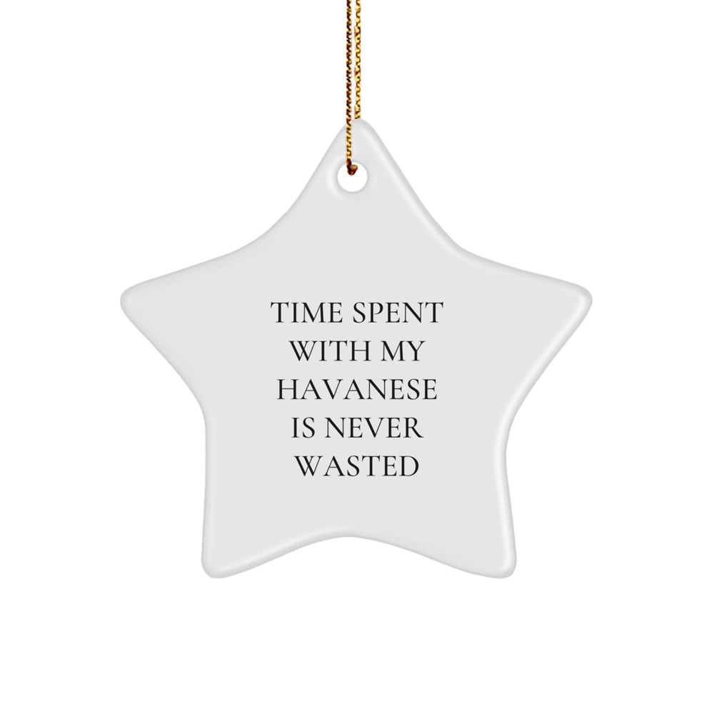 Havanese Dog Star Ornament Gifts from Friends for Havanese Dog Lovers - Funny Quote 'Time Spent With My Havanese Is Never Wasted' Christmas Unique Presents - Image 1