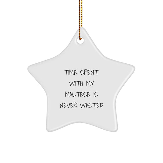 Maltese Dog Star Ornament Gifts from Family, Friends, and Coworkers, 'Time Spent With My Maltese Is Never Wasted', Christmas Unique Gifts for Maltese Dog Lovers - Image 1