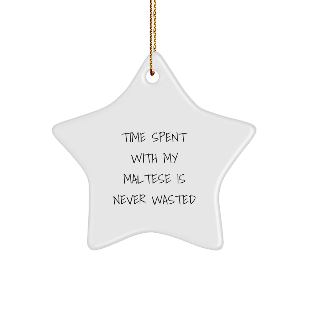 Maltese Dog Star Ornament Gifts from Family, Friends, and Coworkers, 'Time Spent With My Maltese Is Never Wasted', Christmas Unique Gifts for Maltese Dog Lovers - Image 1