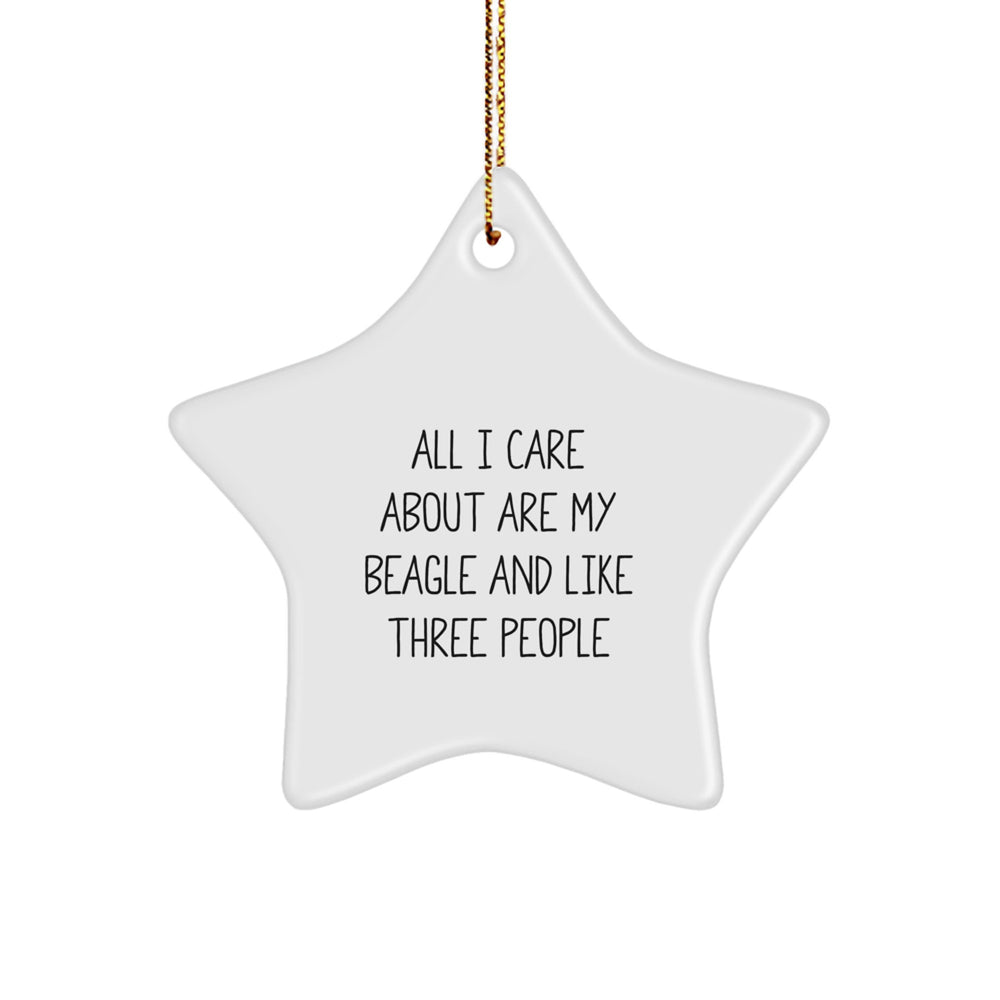 Funny Beagle Dog Star Ornament Gifts from Family for Beagle Dog Lovers - 'All I Care About Are My Beagle And Like Three People' - Image 1