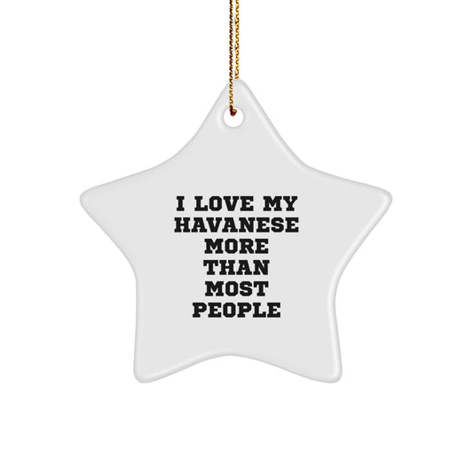 Funny Havanese Dog Christmas Unique Gifts from Family Friends Star Ornament - Image 1