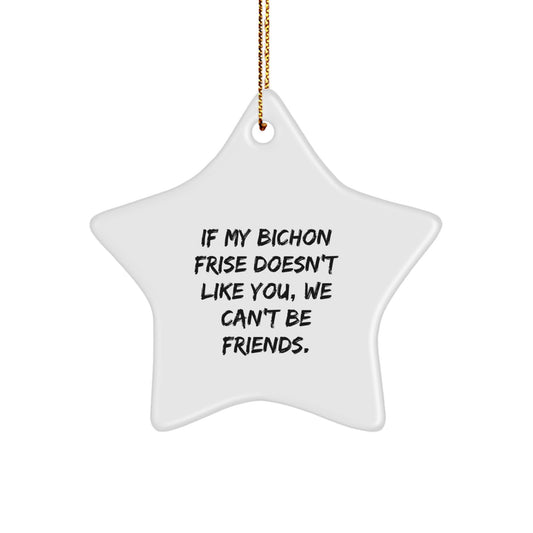 Bichon Frise Dog Lovers Gifts from Friends for Christmas Star Ornament, Funny Quote - Image 1