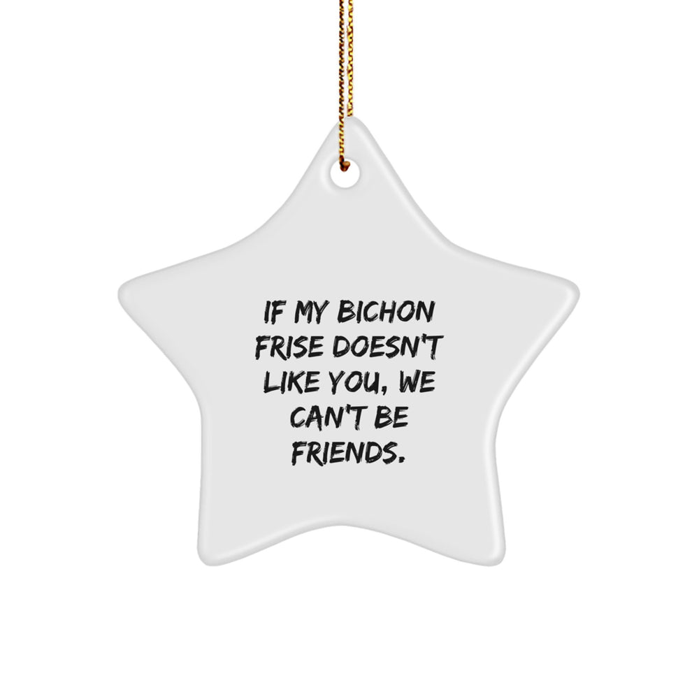 Bichon Frise Dog Lovers Gifts from Friends for Christmas Star Ornament, Funny Quote - Image 1