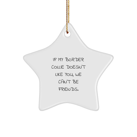 Funny Border Collie Dog Gifts from Men to Border Collie Dog Lovers - 'If My Border Collie Doesn't Like You, We Can't Be Friends.' Star Ornament for Christmas Unique Gifts - Image 1