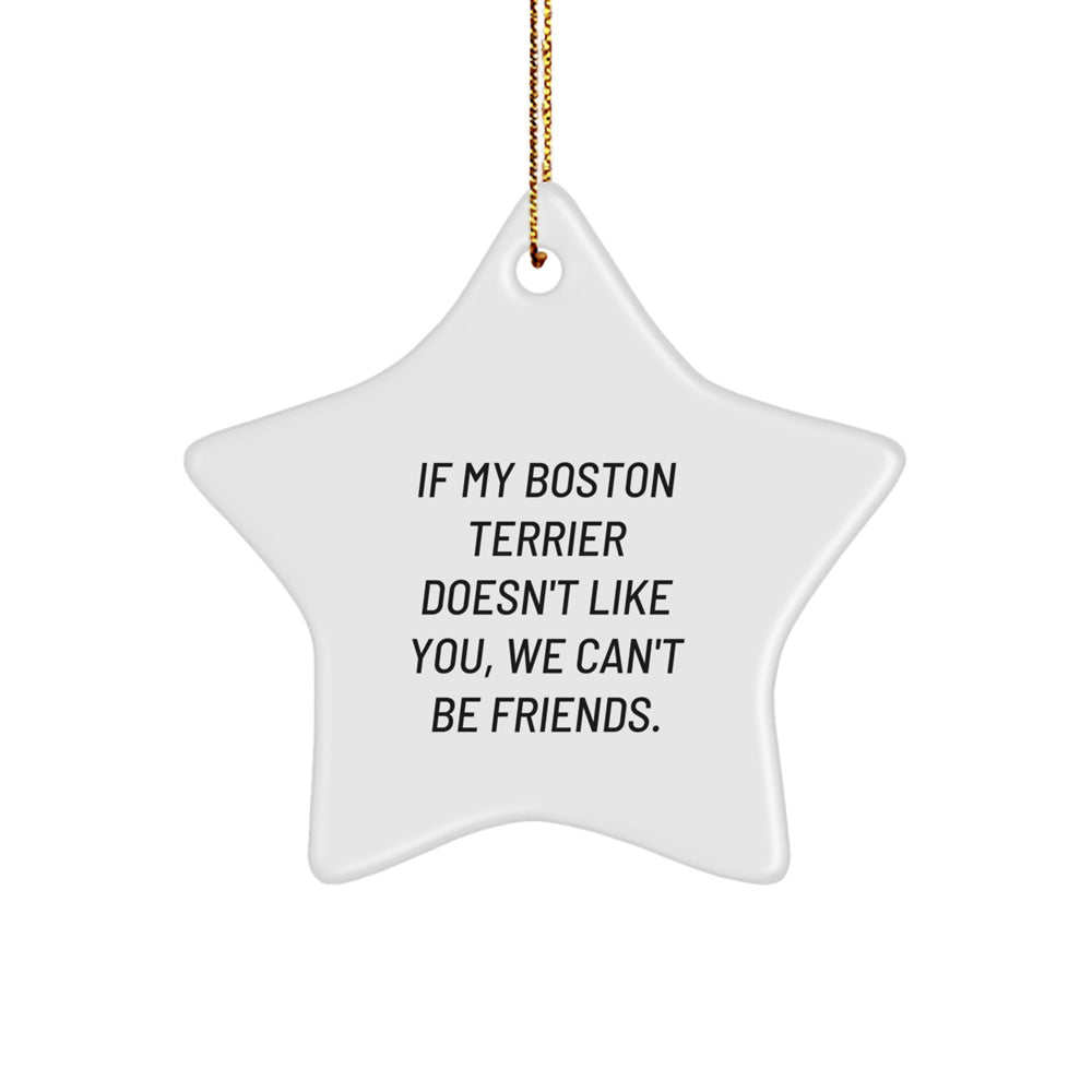 Boston Terrier Dog Star Ornament, Funny Quote 'If My Boston Terrier Doesn't Like You, We Can't Be Friends' Gifts for Men, Women, Family, Friends, Coworkers, Christmas Unique - Image 1