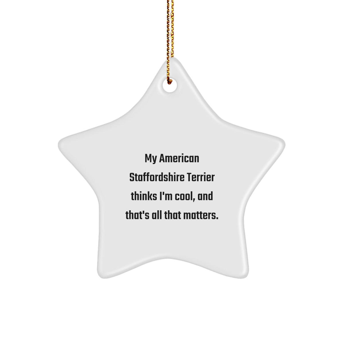 American Staffordshire Terrier Star Ornament Gift Friend thinks I'm cool - Image 1