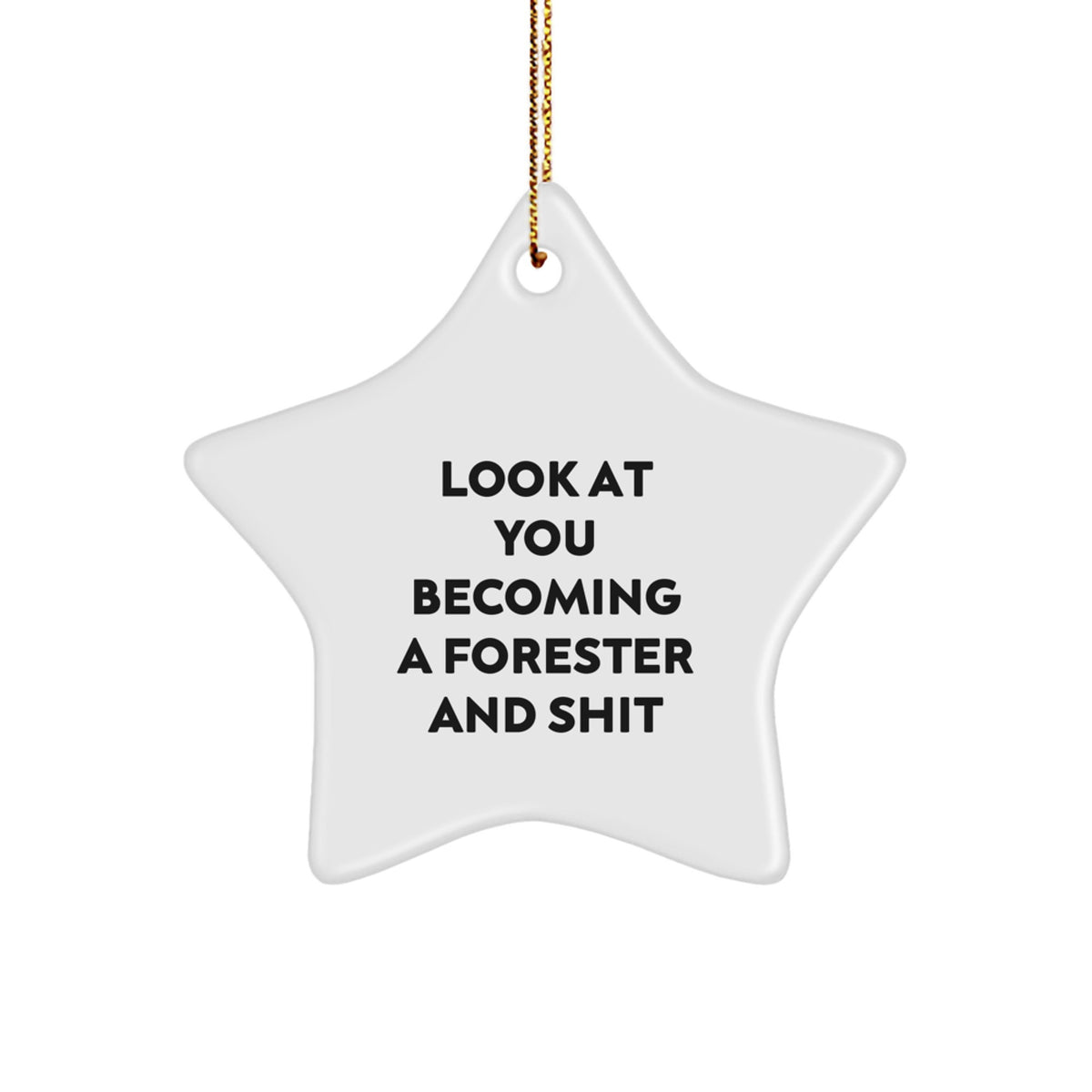 Forester Gifts from Friends, Look At You Becoming A Forester And Shit, Christmas Star Ornament, Funny Quote, Gifts for Forester - Image 1