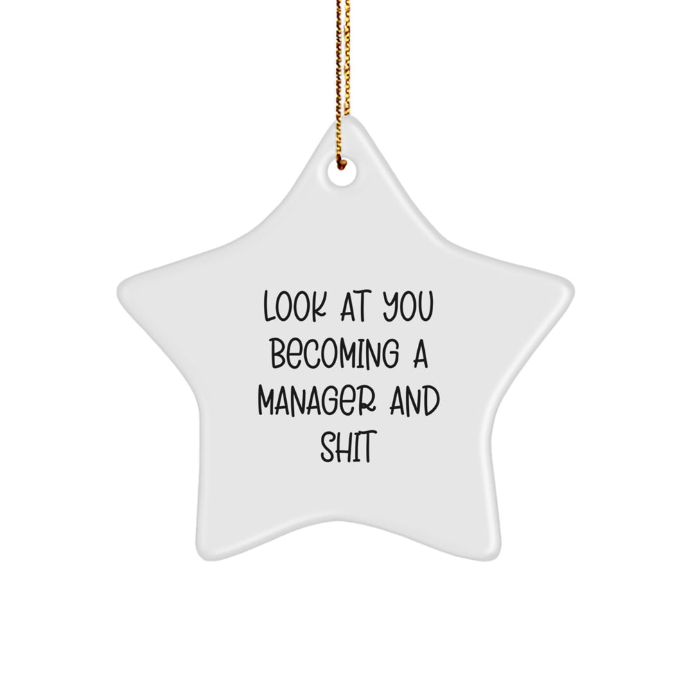 Funny Manager Gifts from Friends - Look At You Becoming A Star Ornament for Men, Women, Coworkers, Family, and Kids - Inspirational Quote for Christmas - Image 1