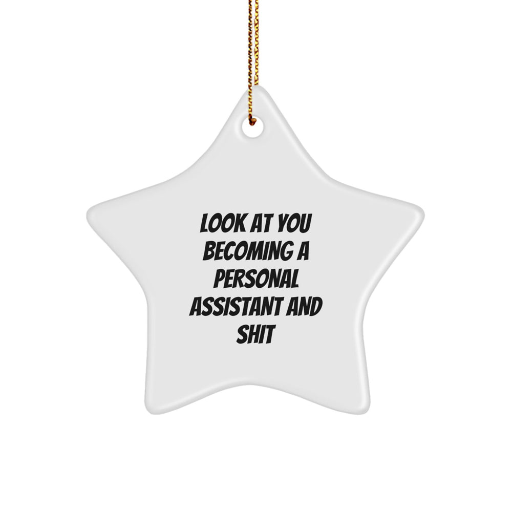 Personal Assistant Gifts from Friends, Funny Star Ornament for Christmas, 'Look At You Becoming A Personal Assistant And Shit' Quote, Gifts for Men, Women, Coworkers, Family - Image 1