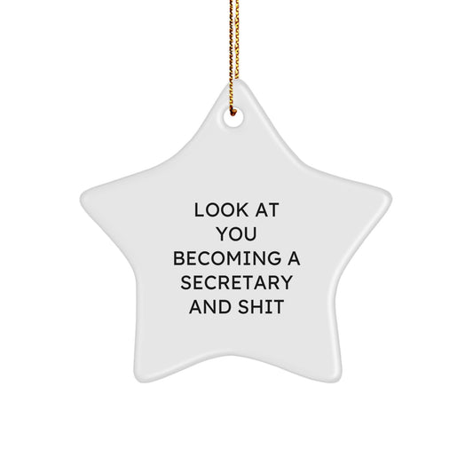 Secretary's Star Ornament Gifts from Friends - 'Look At You Becoming A Secretary And Shit' - Christmas Unique Gifts for Secretaries - Image 1