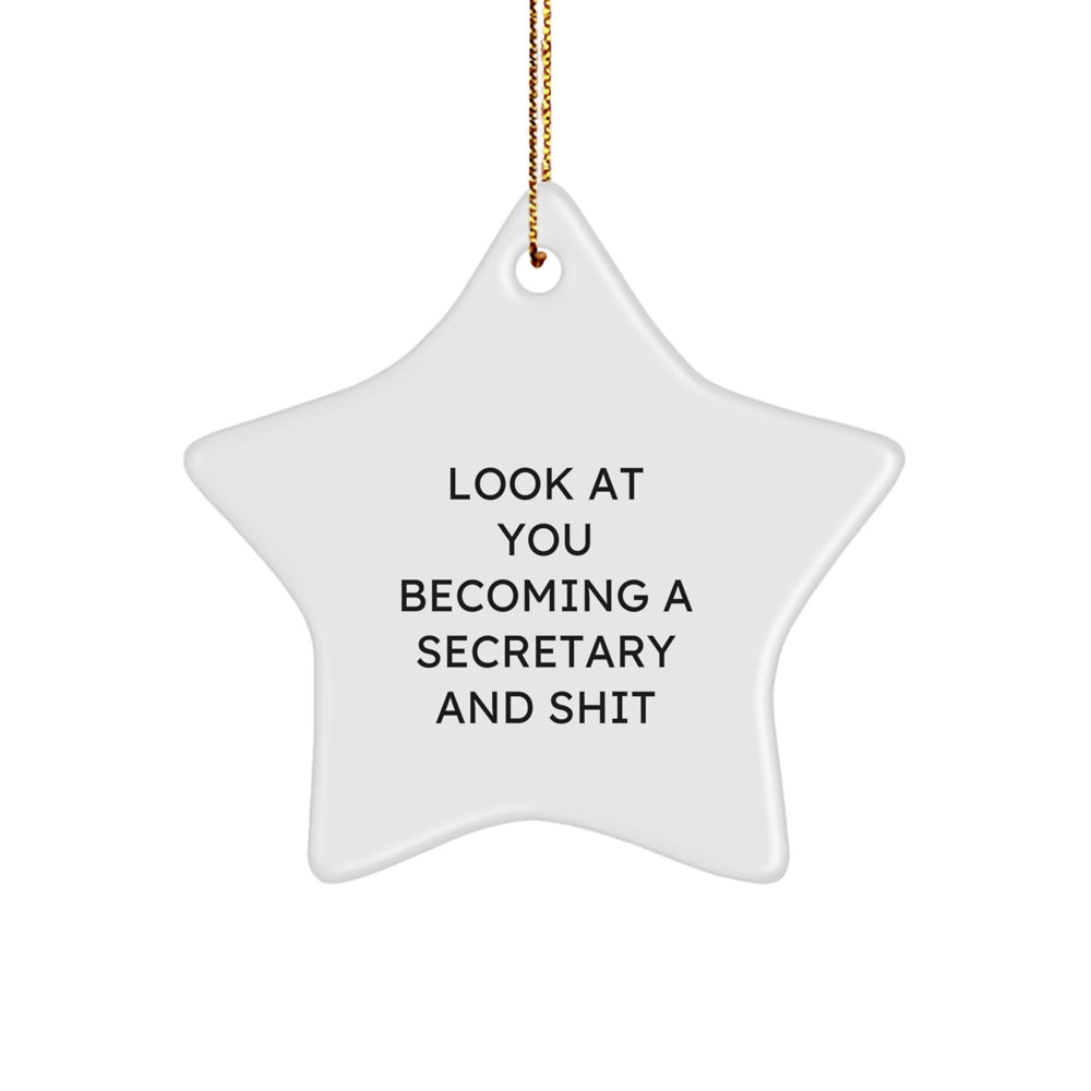 Secretary's Star Ornament Gifts from Friends - 'Look At You Becoming A Secretary And Shit' - Christmas Unique Gifts for Secretaries - Image 1