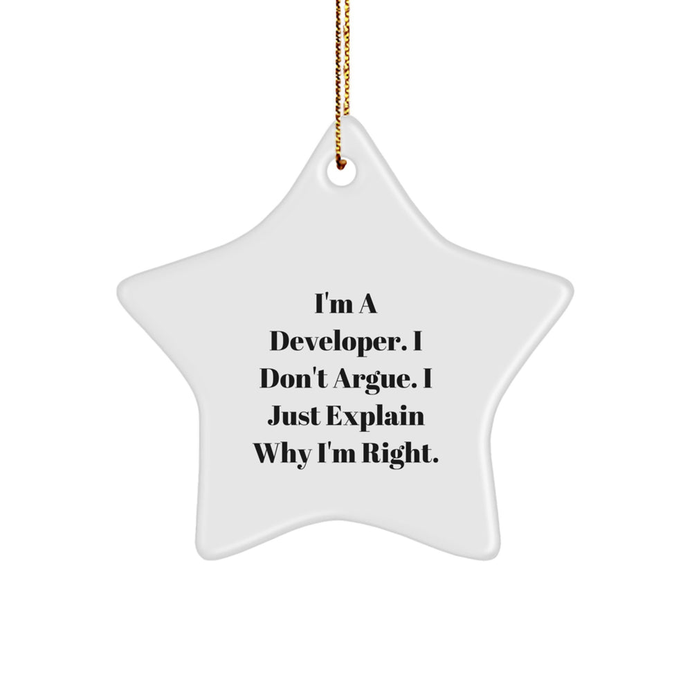 Funny Developer Gifts, I'm A Developer, Unique Star Ornament for Christmas, Gifts from Friends, Gifts for Developers - Image 1