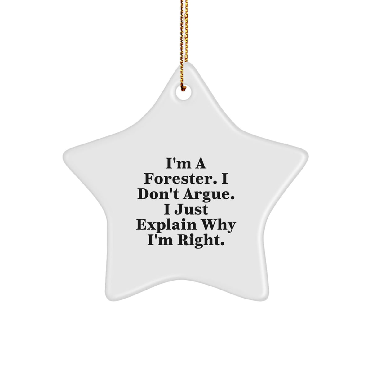Forester's Star Ornament, Funny Gift for Friends from Forester, Christmas Unique Gifts for Men - Image 1