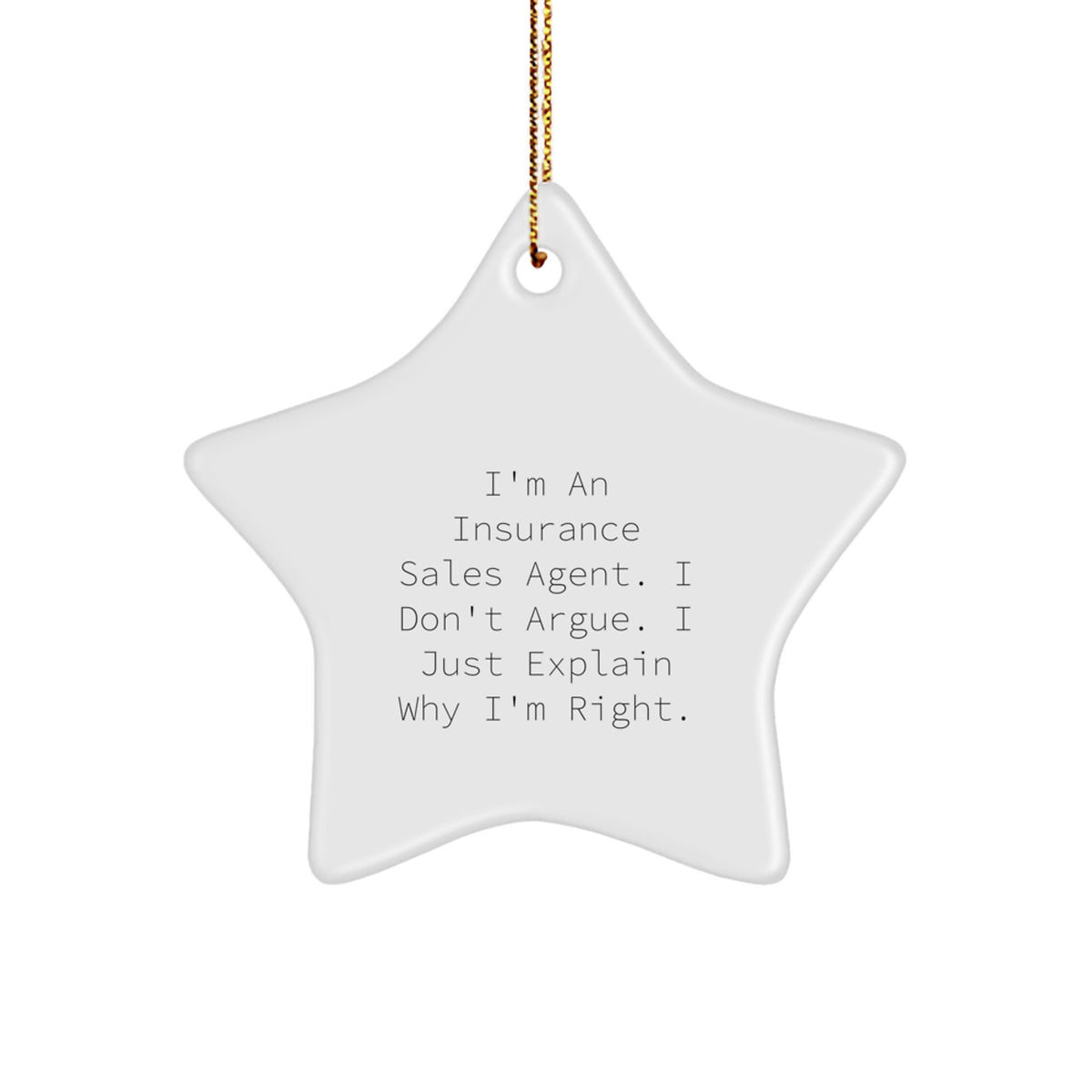Funny Insurance Sales Agent Gifts, Star Ornament for Insurance Professionals, Christmas Unique Gifts from Friends, Perfect for Insurance Sales Agent at Home or Office, Explain Why I'm Right Quote - Image 1