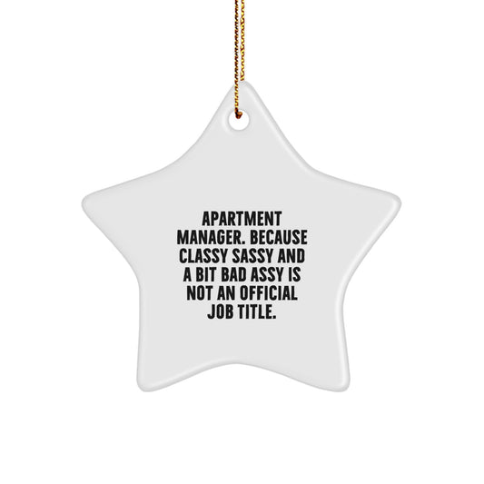 Gifts for Apartment Managers - Funny Star Ornament, Gifts from Friends for Christmas Unique Decorations - Image 1