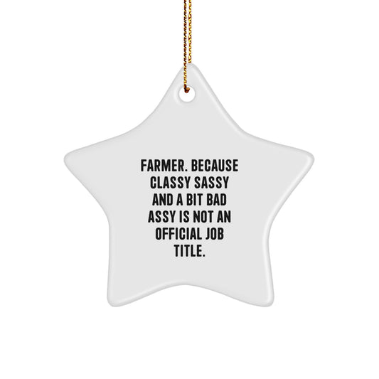 Farmer's Classy Sass Gifts, Funny Star Ornament for Men, Women, Friends, Coworkers, Family - 'Farmer. Because Classy Sassy And A Bit Fearlessy Is Not An Official Job Title.' - Image 1