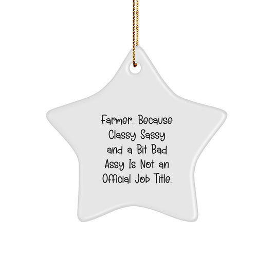Farmer Gifts, Funny Star Ornament, 'Farmer. Because Classy Sassy And A Bit Fearlessy Is Not An Official Job Title.', Christmas Unique Gifts from Friends to Family - Image 1