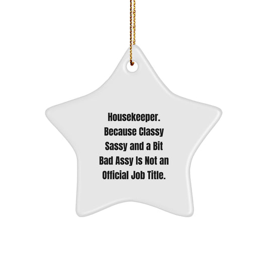 Housekeeper's Delight, Funny Star Ornament Gifts from Friends for Christmas, Star Shaped, Gifts from Men, Women, Family, Coworkers, Gifts for Housekeeper - Image 1