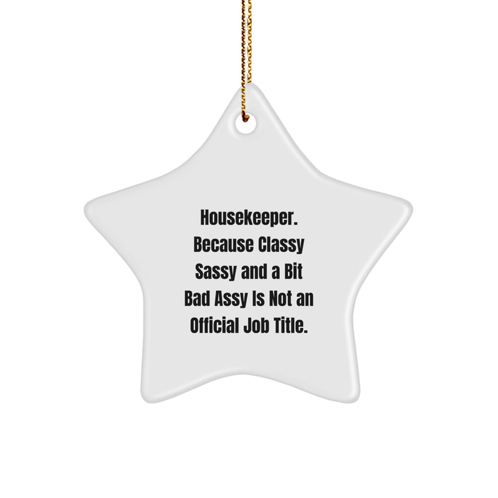 Housekeeper's Delight, Funny Star Ornament Gifts from Friends for Christmas, Star Shaped, Gifts from Men, Women, Family, Coworkers, Gifts for Housekeeper - Image 1