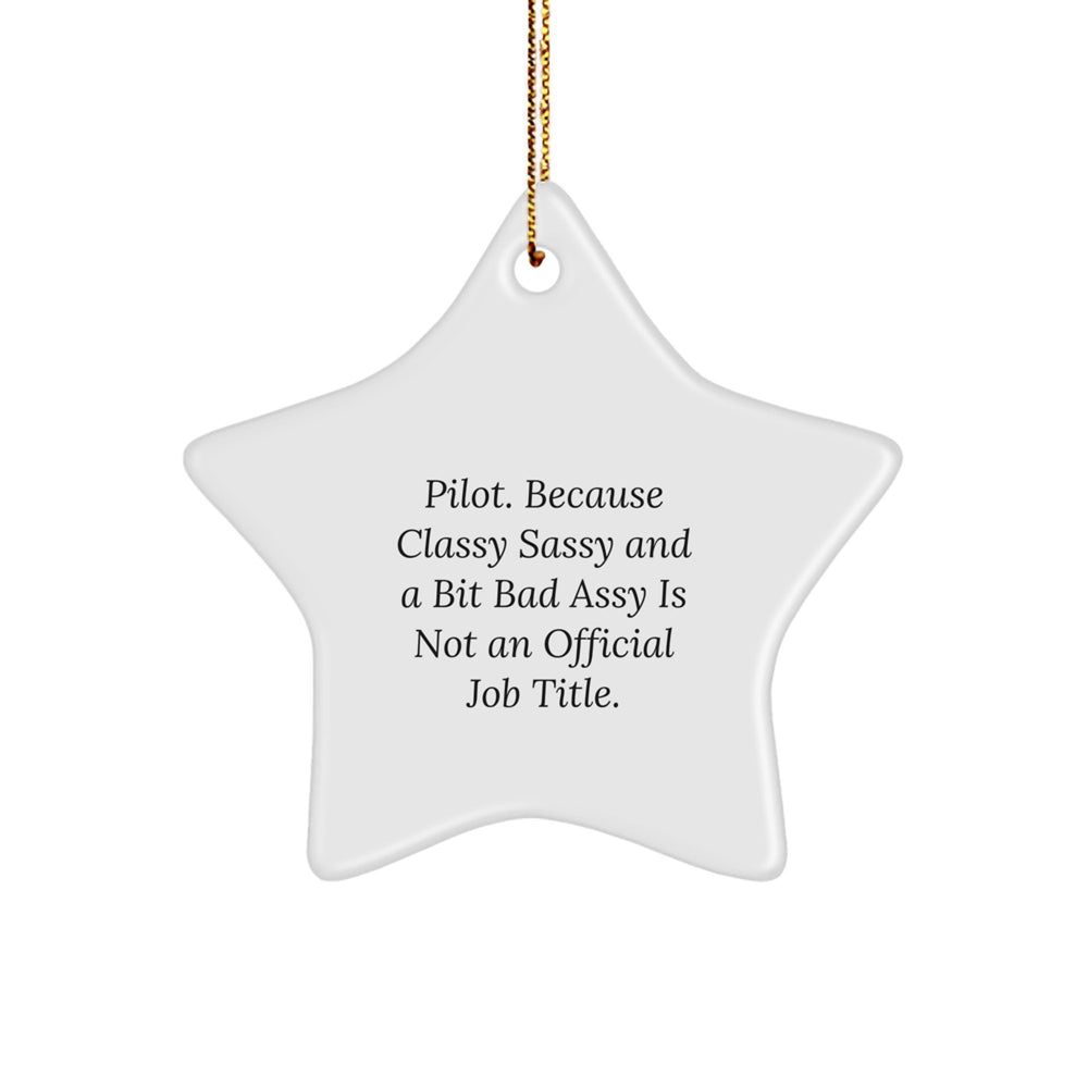 Pilot Gifts - Funny Star Ornament, 'Pilot. Because Classy Sassy And A Bit Fearlessy Is Not An Official Job Title.' - Christmas Unique Gifts from Friends and Family - Image 1