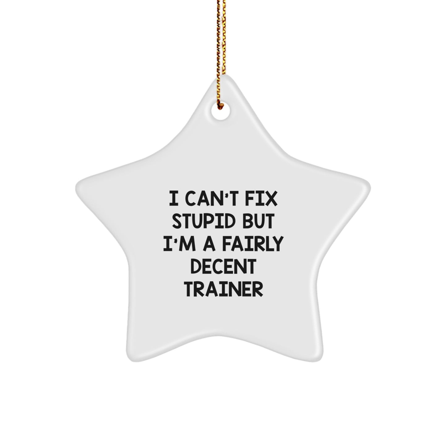 Funny Trainer Gifts from Friends - I Can't Fix Stupid But I'm A Fairly Decent Trainer Star Ornament for Christmas - Image 1
