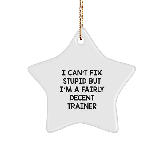 Funny Trainer Gifts from Friends - I Can't Fix Stupid But I'm A Fairly Decent Trainer Star Ornament for Christmas - Image 1