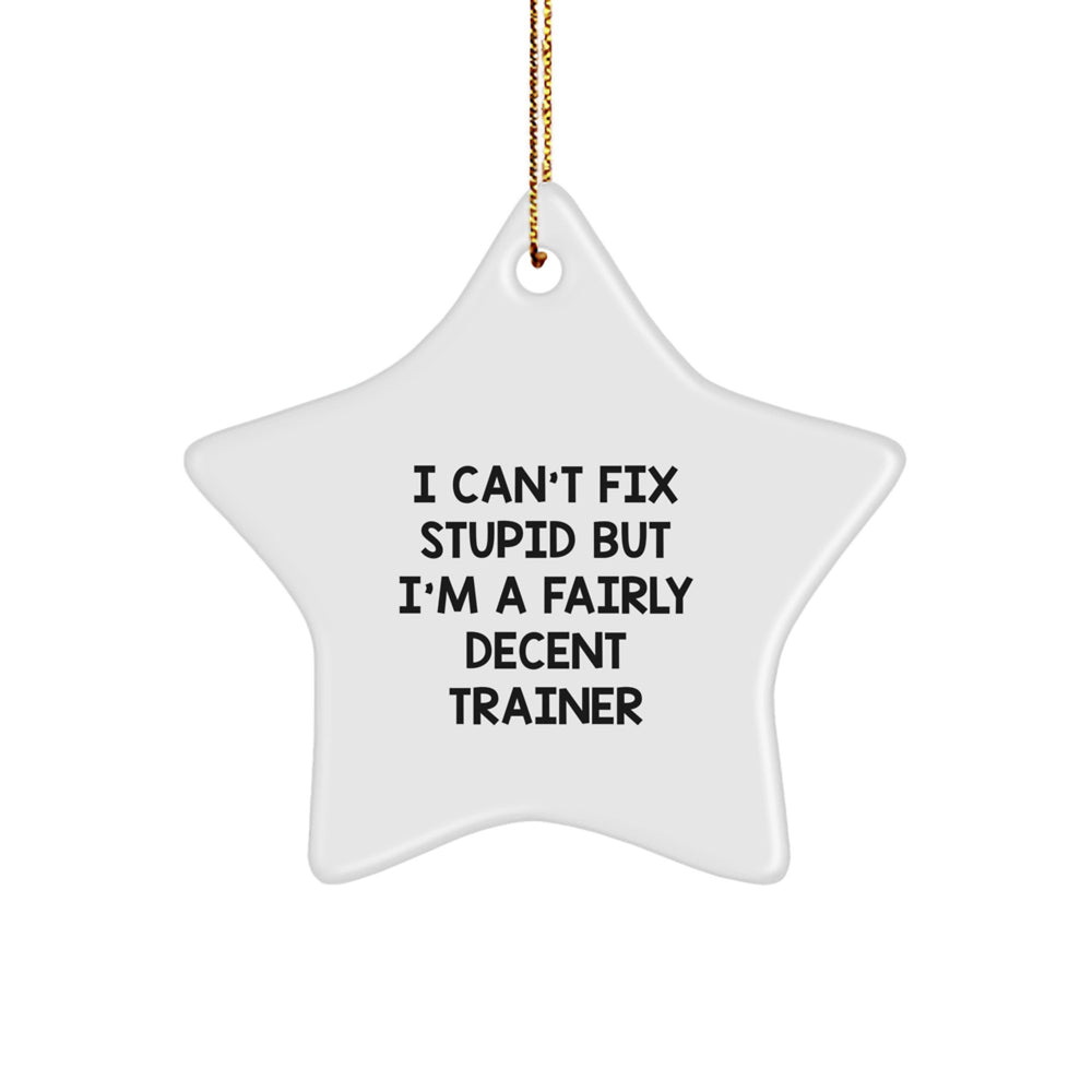 Funny Trainer Gifts from Friends - I Can't Fix Stupid But I'm A Fairly Decent Trainer Star Ornament for Christmas - Image 1